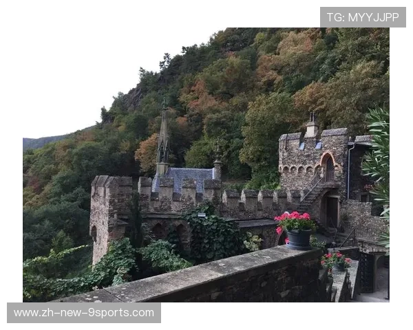 _绿野仙踪：森林中的野外网球挑战_，2021绿野仙踪棒球服