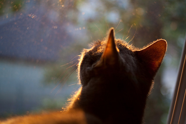九游娱乐(jiuyou)官方网站-高效防守!分析本赛季五大联赛最佳防线,五大联赛赛季初是不是容易爆冷 第4张 九游娱乐(jiuyou)官方网站-高效防守!分析本赛季五大联赛最佳防线,五大联赛赛季初是不是容易爆冷 第4张