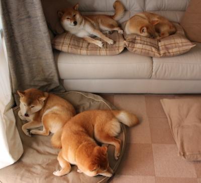 JIUYOU.COM-全新反兴奋剂系统上线,守护纯净赛场!,反兴奋剂有什么作用 第2张 JIUYOU.COM-全新反兴奋剂系统上线,守护纯净赛场!,反兴奋剂有什么作用 第2张