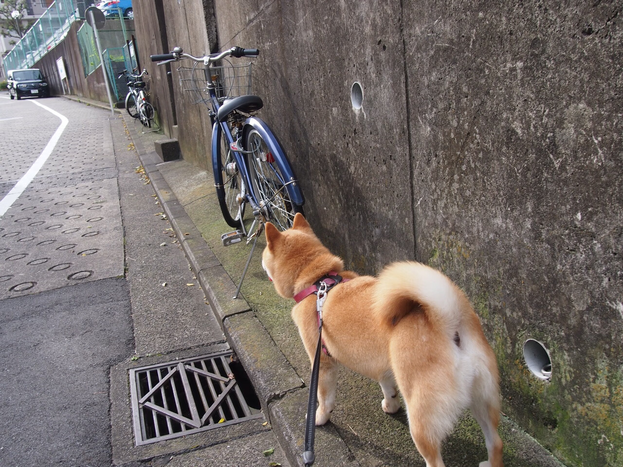 Jiu You-球队是否通过变阵隐藏主力核心体能不足问题