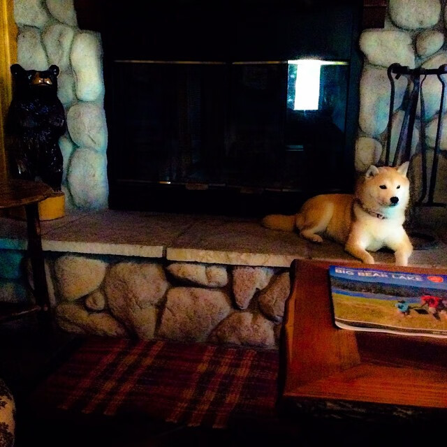 -勇士训练时长延长球员投入度高，勇士训练短袖