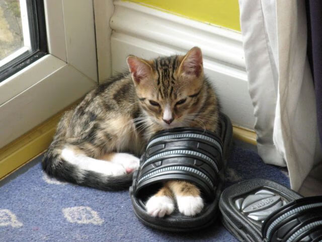 九游游戏中心官网-欧洲杯决战高潮：策略、突破、奇迹！，欧洲杯争议一幕