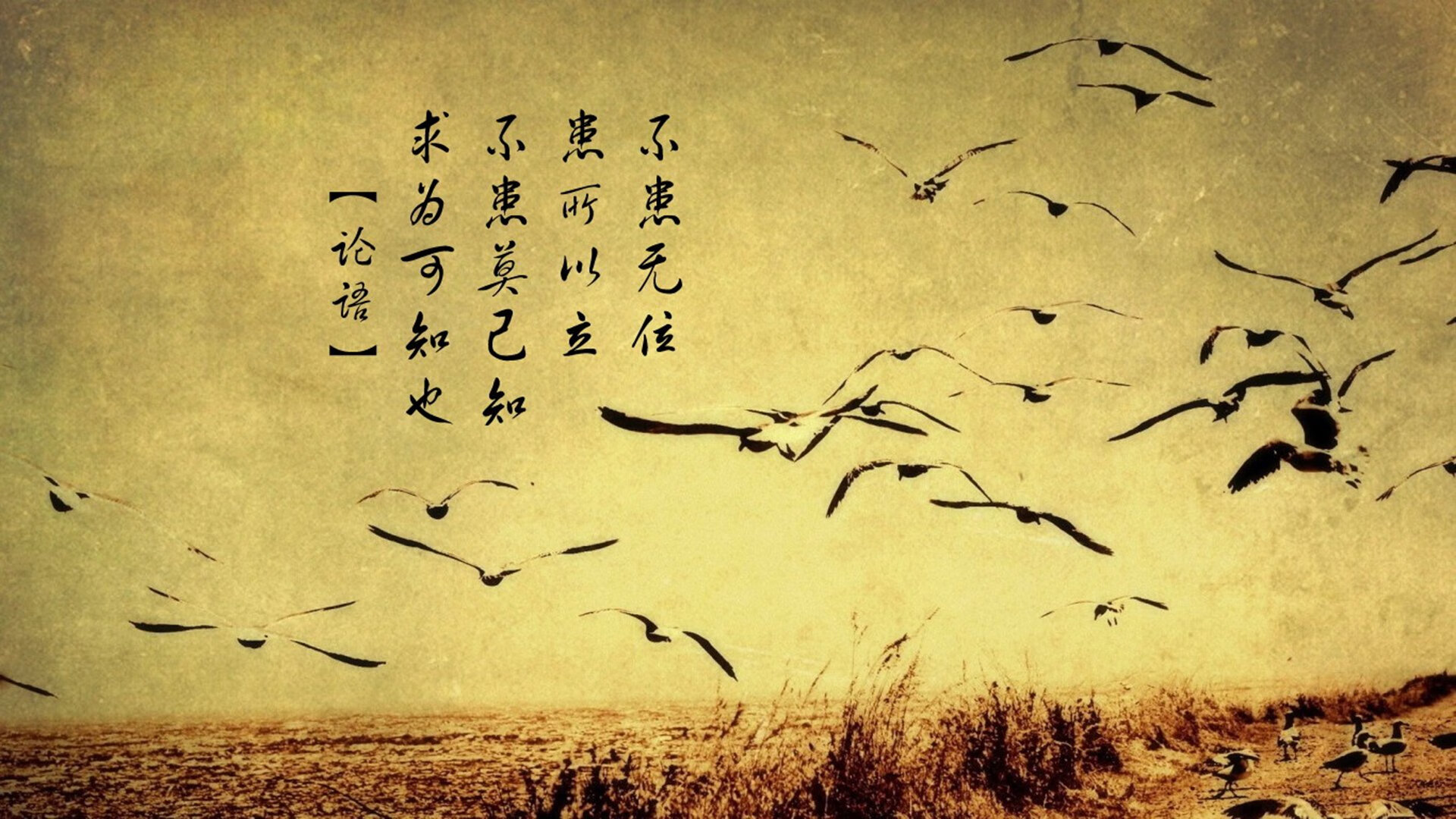 九游登录中心-爱尔兰女子橄榄球队崭露头角，爱尔兰女子组合乐队