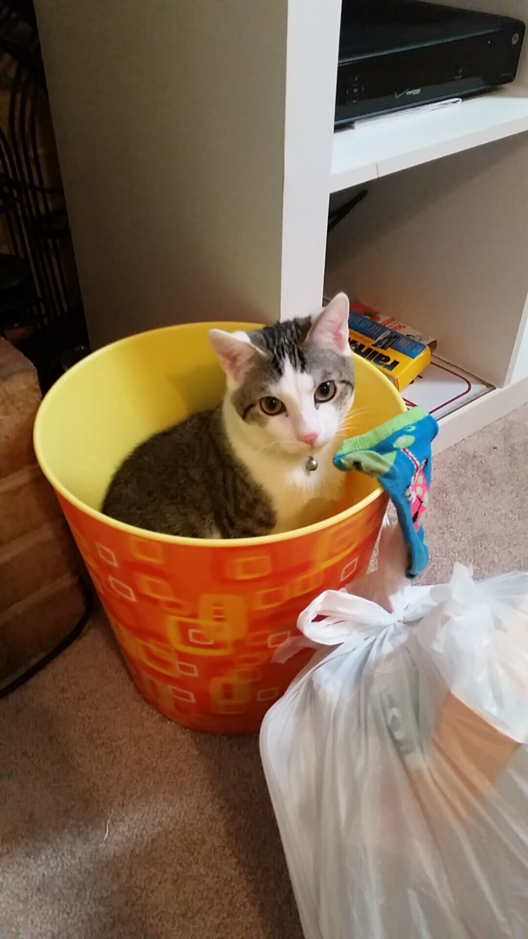 九游官网下载电脑版-7场16球惊艳全场,32岁凯恩获德国名记盛赞:拜仁豪购无悔,凯恩就职于哪个球队