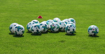 九游APP官网-乒乓德甲俱乐部商业模式的困惑与转型之路，甲b乒乓球俱乐部联赛