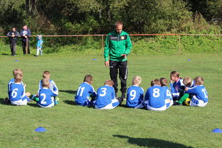 -五大联赛外援政策影响战术部署与引援策略,五大联赛能上几个外援