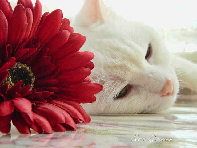 九游APP官网-别赌职业生涯！违规炒股的后果很严重，炒股的违法行为